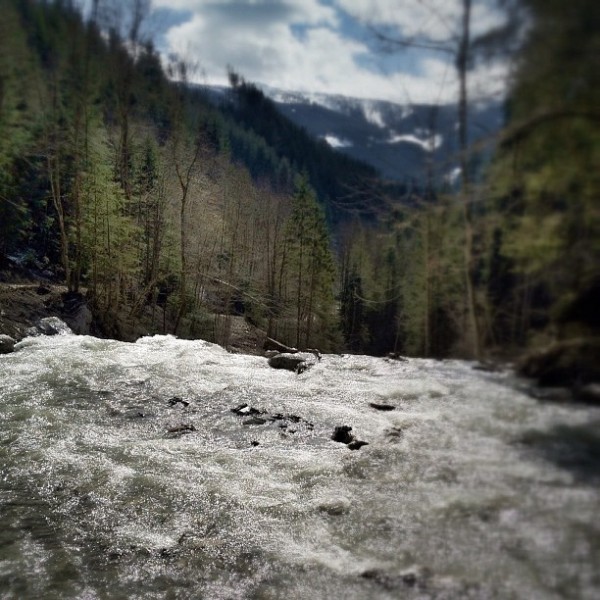 Der wilde Fluss in den Bergen