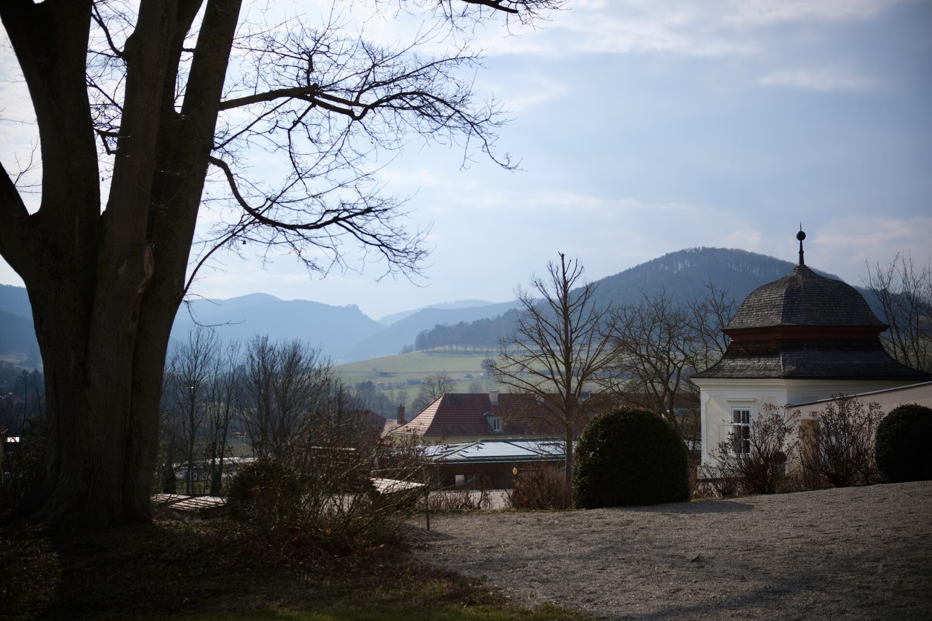 DSCF1397