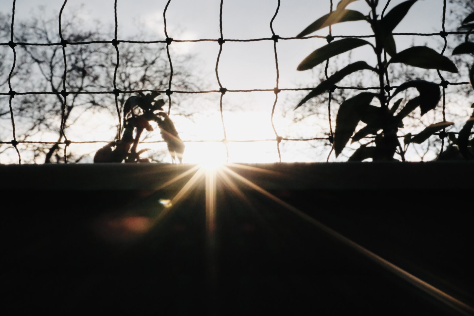 DSCF2311