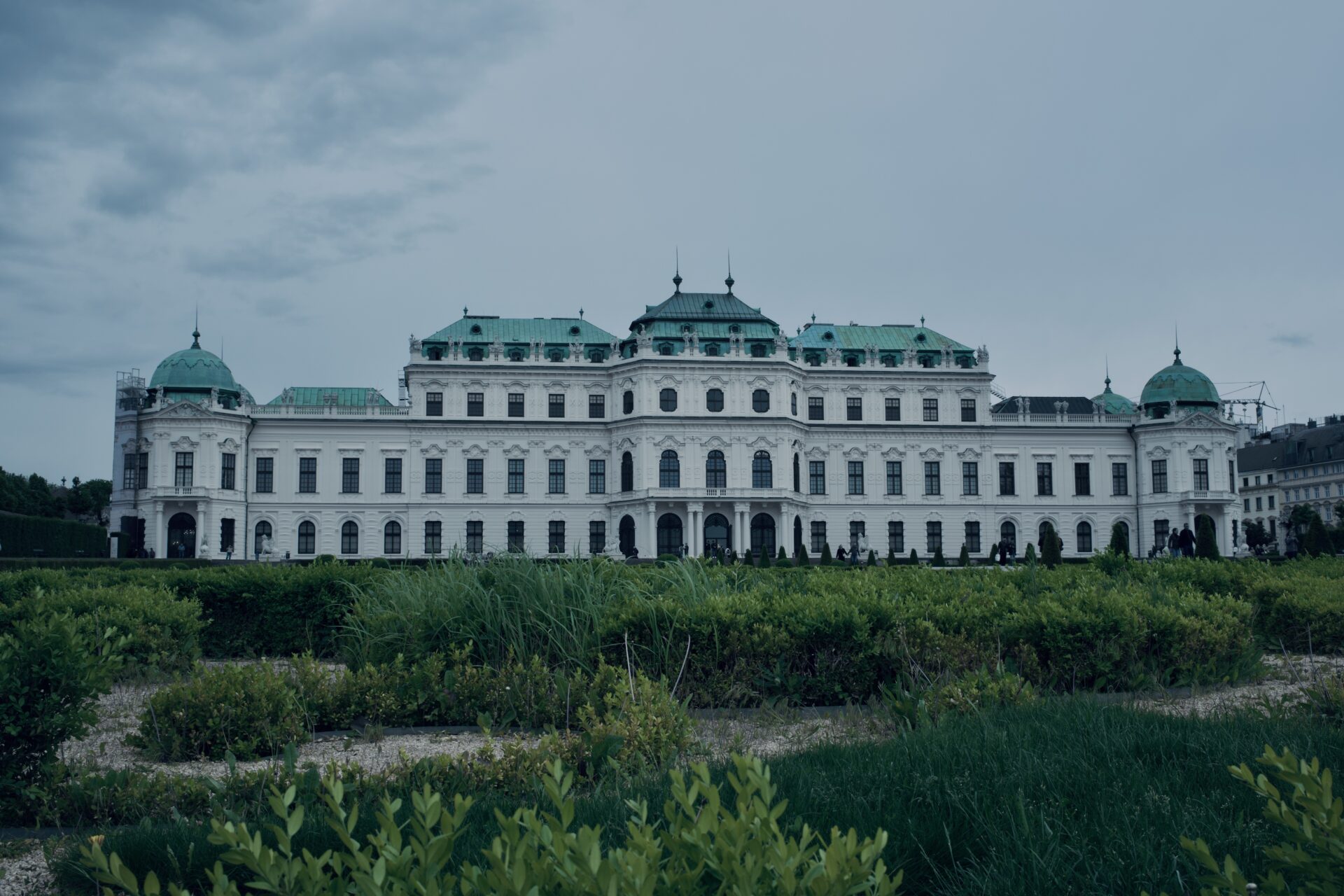 DSCF3419