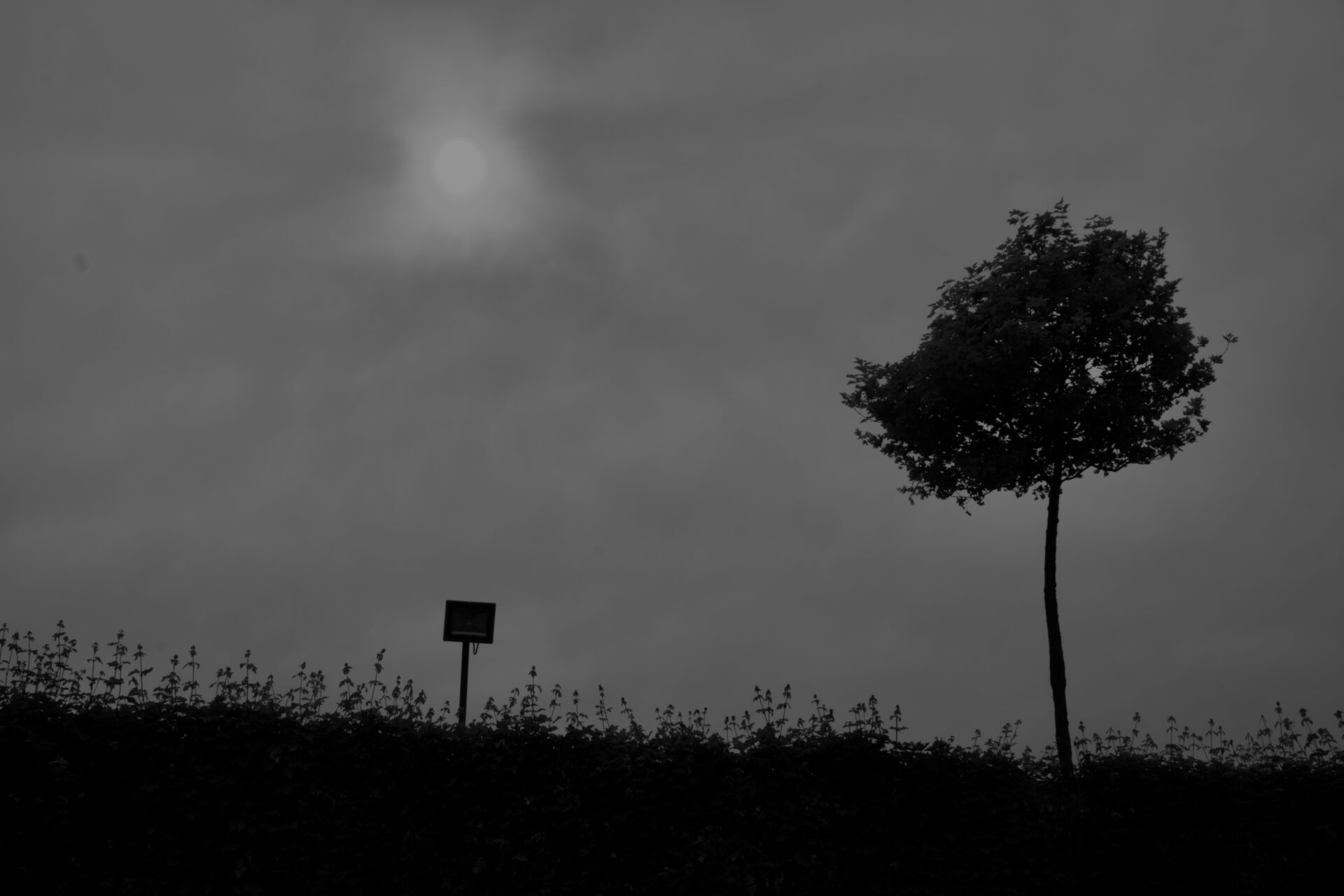DSCF3438