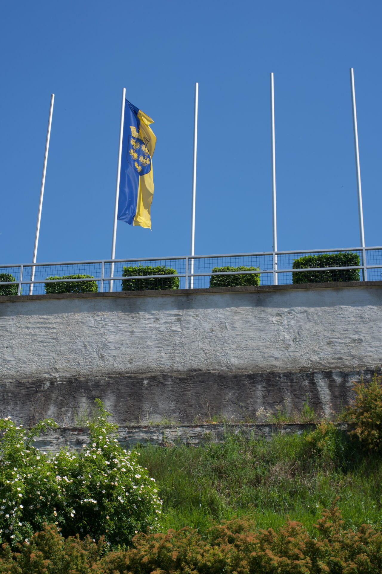 DSCF3529