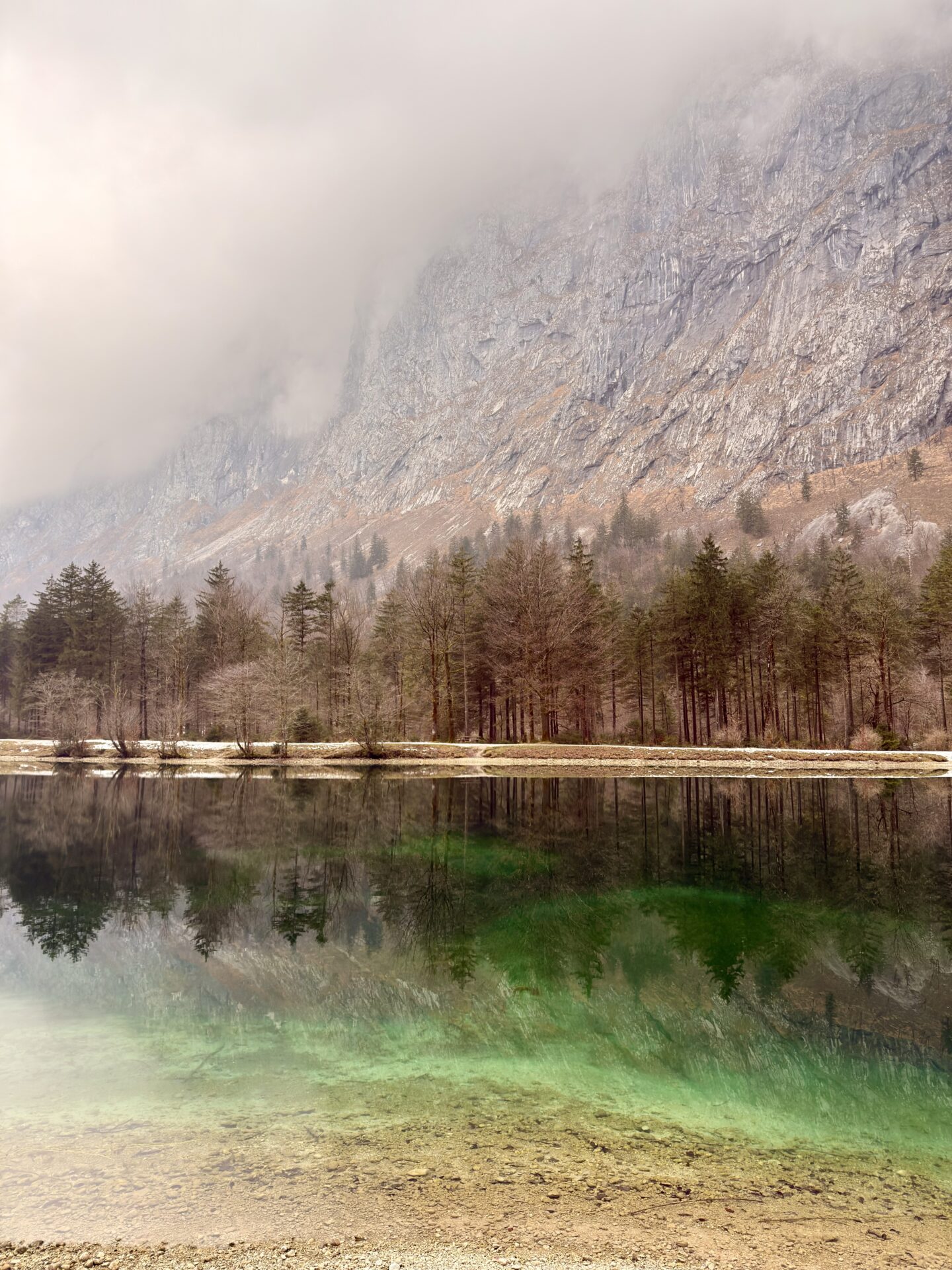 A serene landscape featuring a calm, greenish lake surrounded by trees and rocky mountains. The scene is partially shrouded in fog, creating a misty atmosphere and reflecting the trees in the water.